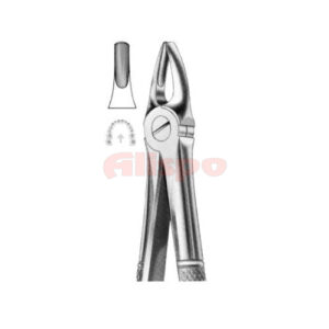 EXTRACTING FORCEPS ENGLISH PATTERN NO 2