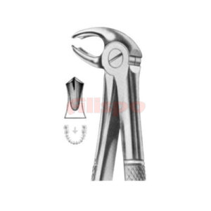 Extracting Forceps English Pattern No 22G