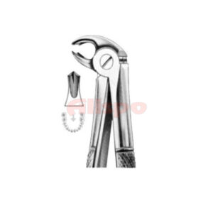 Extracting Forceps English Pattern No 22S