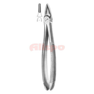 Extracting Forceps English Pattern No 29