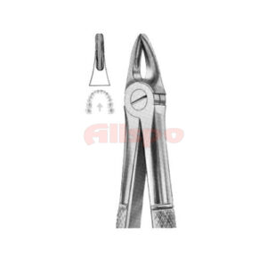 Extracting Forceps English Pattern No 29S