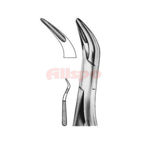 Root Splinter Forceps No 03