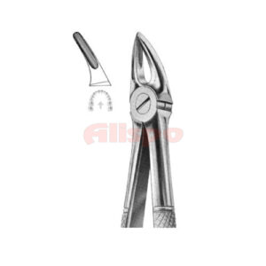 Extracting Forceps English Pattern No 30