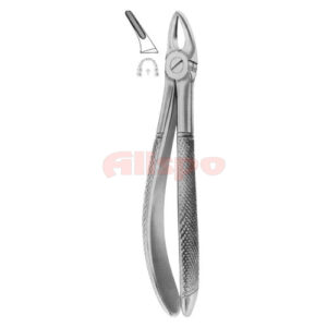 Extracting Forceps English Pattern No 30S