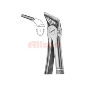 Extracting Forceps English Pattern No 31