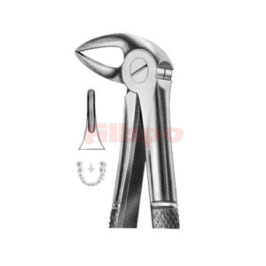 Extracting Forceps English Pattern No 33A