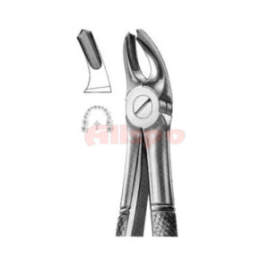 Extracting Forceps English Pattern No 39A