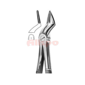Extracting Forceps English Pattern No 51A