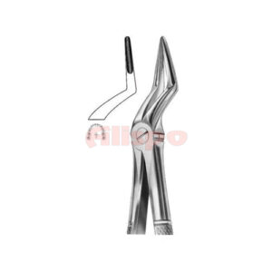 Extracting Forceps English Pattern No 51L