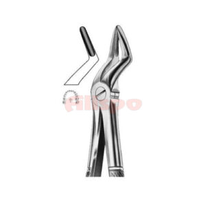Extracting Forceps English Pattern No 52A