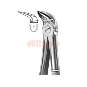Extracting Forceps English Pattern No 56