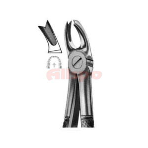 Extracting Forceps English Pattern No 65L