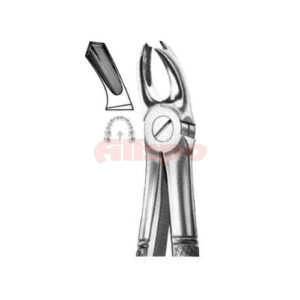 Extracting Forceps English Pattern No 65R