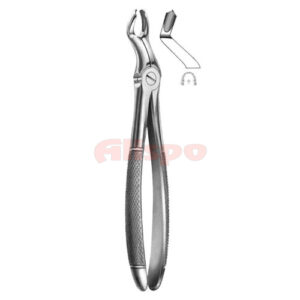Extracting Forceps English Pattern No 67 1/2R