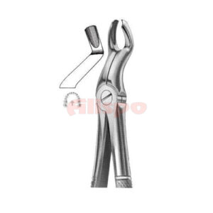 Extracting Forceps English Pattern No 67 1/2L