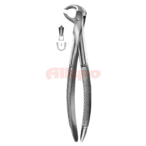 Extracting Forceps English Pattern No 73K
