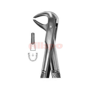 Extracting Forceps English Pattern No 74D