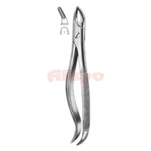 Extracting Forceps English Pattern No 76S