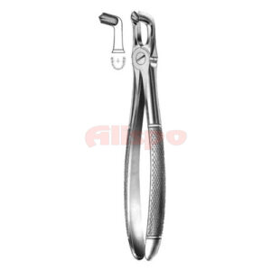 Extracting Forceps English Pattern No 79