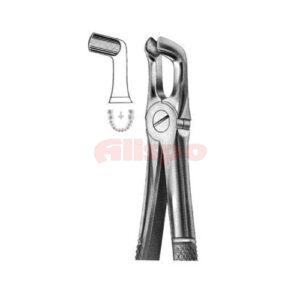 Extracting Forceps English Pattern No 79A