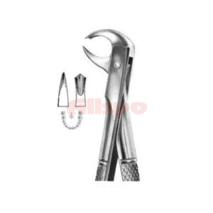 Extracting Forceps English Pattern No 99 1/4