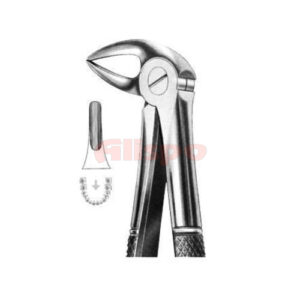 Extracting Forceps English Pattern MD3