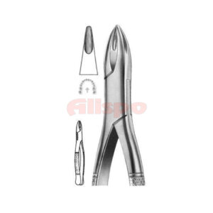 Extracting Forceps American Pattern Z 19