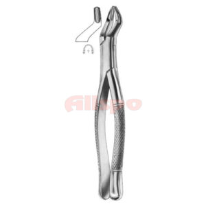 Extracting Forceps American Pattern Z 20