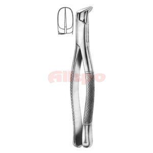 Extracting Forceps American Pattern No 06