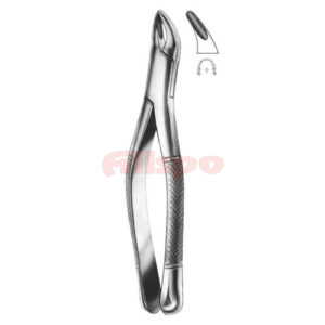 Extracting Forceps American Pattern No 07