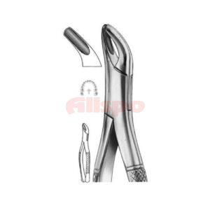 Extracting Forceps American Pattern No 08