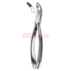 Extracting Forceps American Pattern Z 18