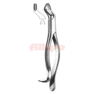 Extracting Forceps American Pattern No 10