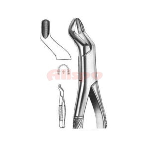 Extracting Forceps American Pattern No 09