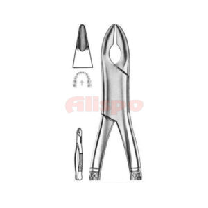 Extracting Forceps American Pattern Z 21