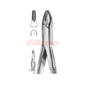 Extracting Forceps American Pattern No 11