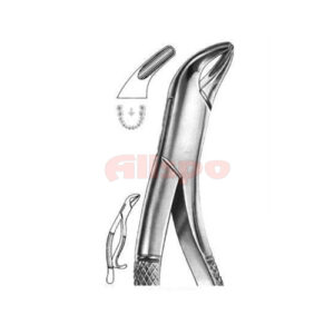 Extracting Forceps American Pattern No 12