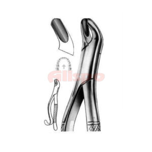 Extracting Forceps American Pattern D 03
