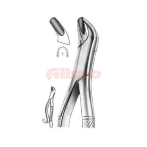 Extracting Forceps American Pattern D 05