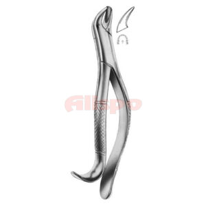 Extracting Forceps American Pattern D 04