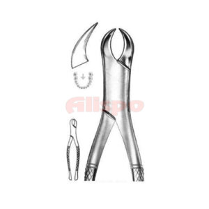 Extracting Forceps American Pattern D 06