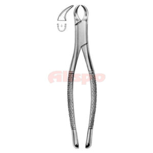 Extracting Forceps American Pattern Z 27