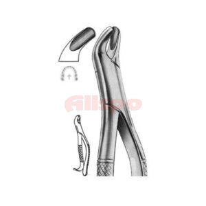 Extracting Forceps American Pattern D 07