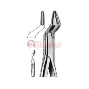 Extracting Forceps American Pattern X 04