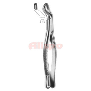 Extracting Forceps American Pattern X 08