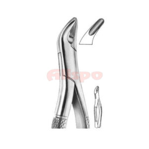 Extracting Forceps American Pattern X 10