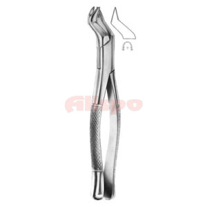 Extracting Forceps American Pattern Y 06