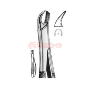 Extracting Forceps American Pattern Z 25