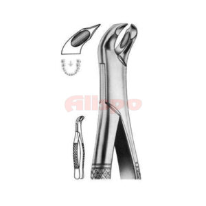 Extracting Forceps American Pattern Z 24
