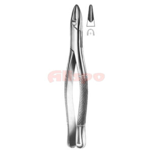 Extracting Forceps American Pattern No 02